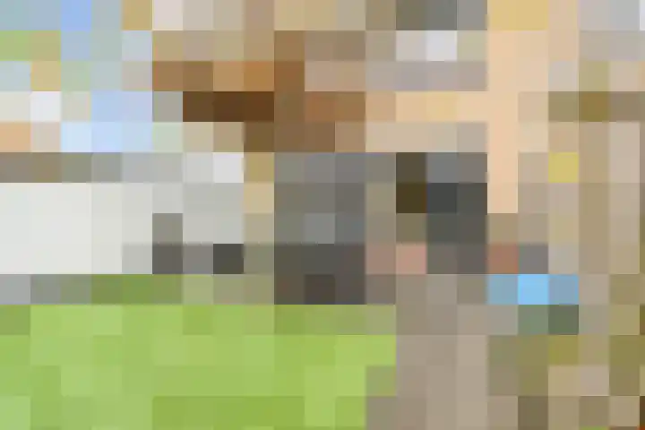 Keizershof 809 Uden thumbnail 30
