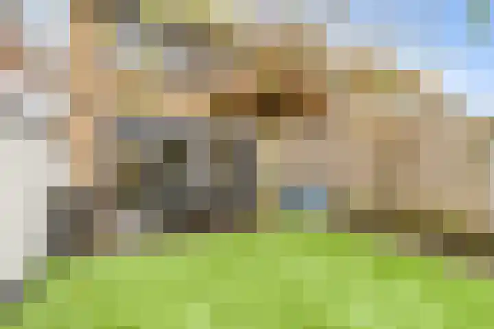 Keizershof 809 Uden thumbnail 32