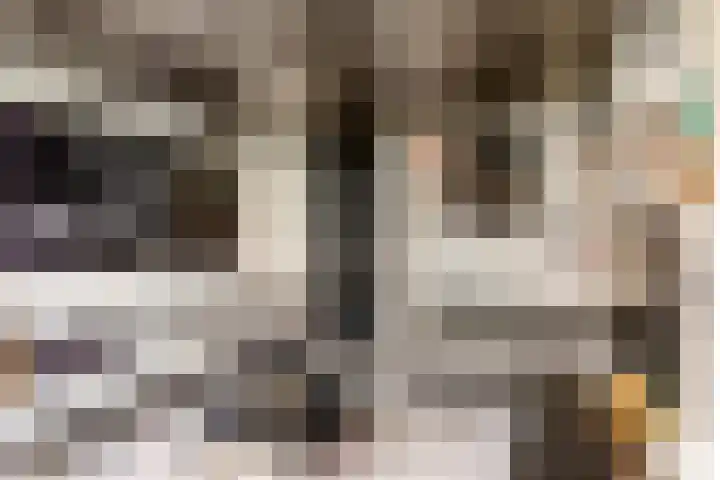 Keizershof 809 Uden thumbnail 35