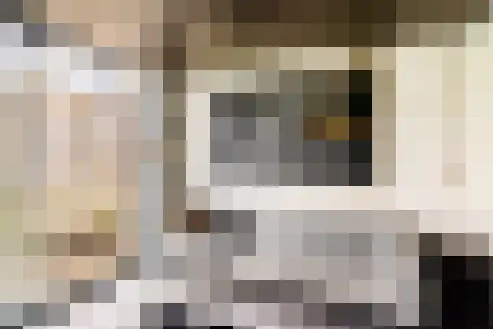 Keizershof 809 Uden thumbnail 37