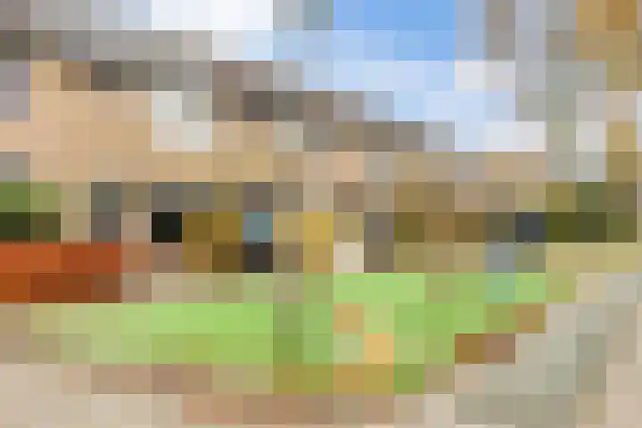 Keizershof 809 Uden thumbnail 42