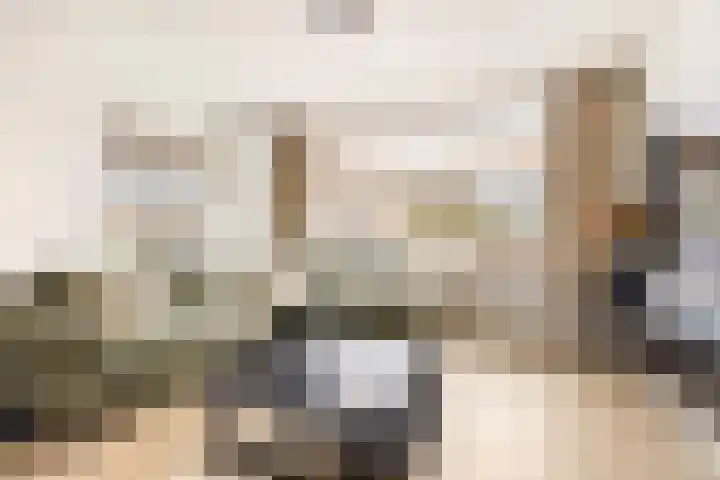 Keizershof 809 Uden thumbnail 8