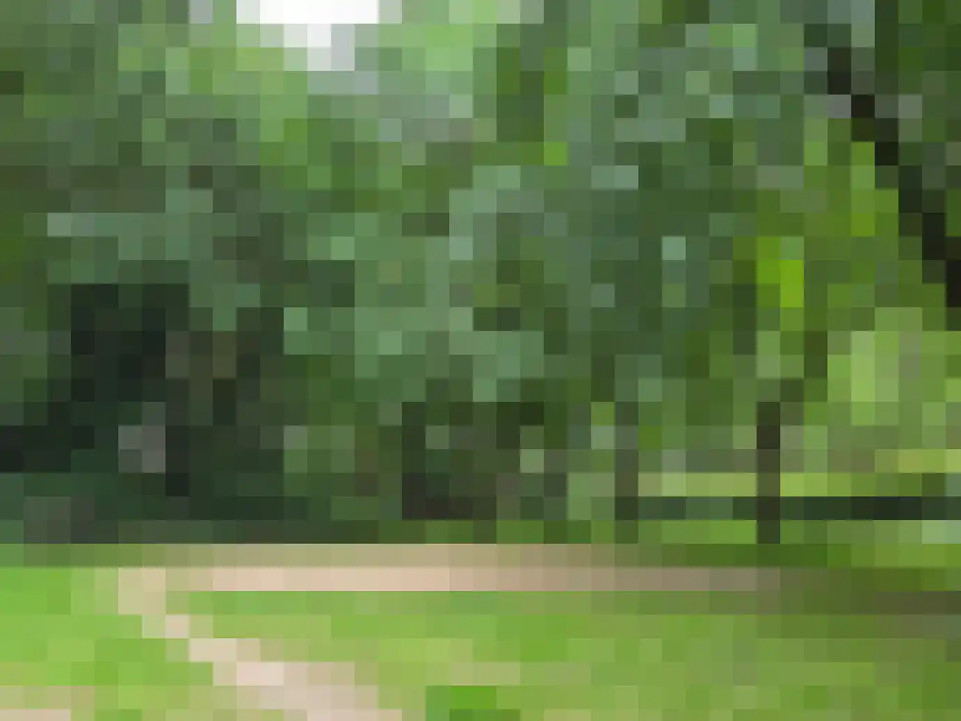Keizershof 9 Molenhoek thumbnail 25