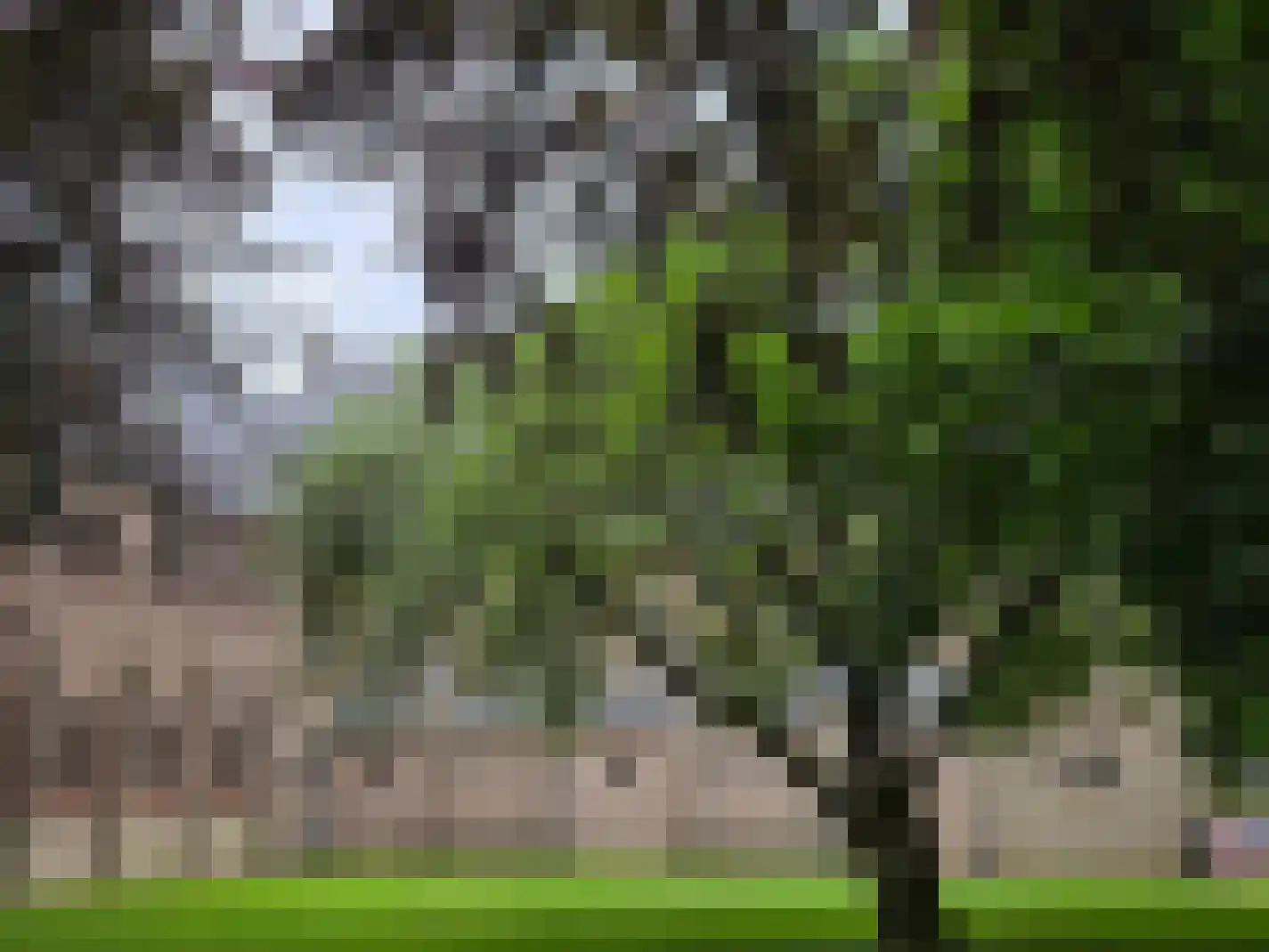 Keizershof 9 Molenhoek thumbnail 26