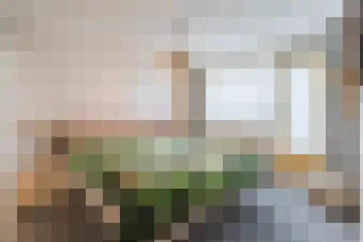 Keizershof 92 Nuenen thumbnail 17