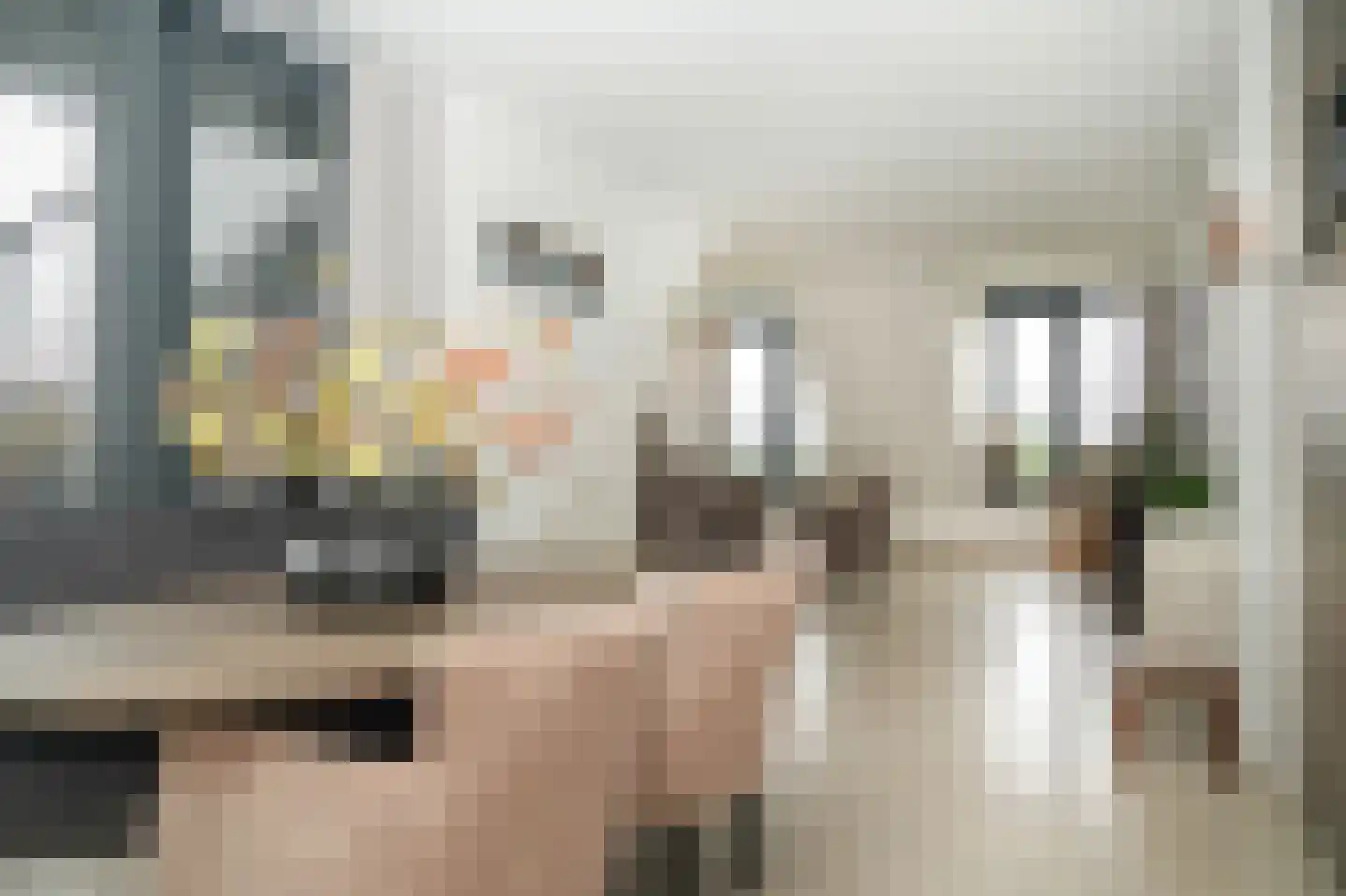 Keizershove 35 Ochten thumbnail 11