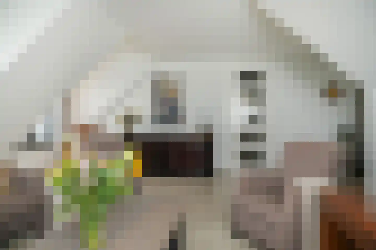Keizershove 35 Ochten thumbnail 17