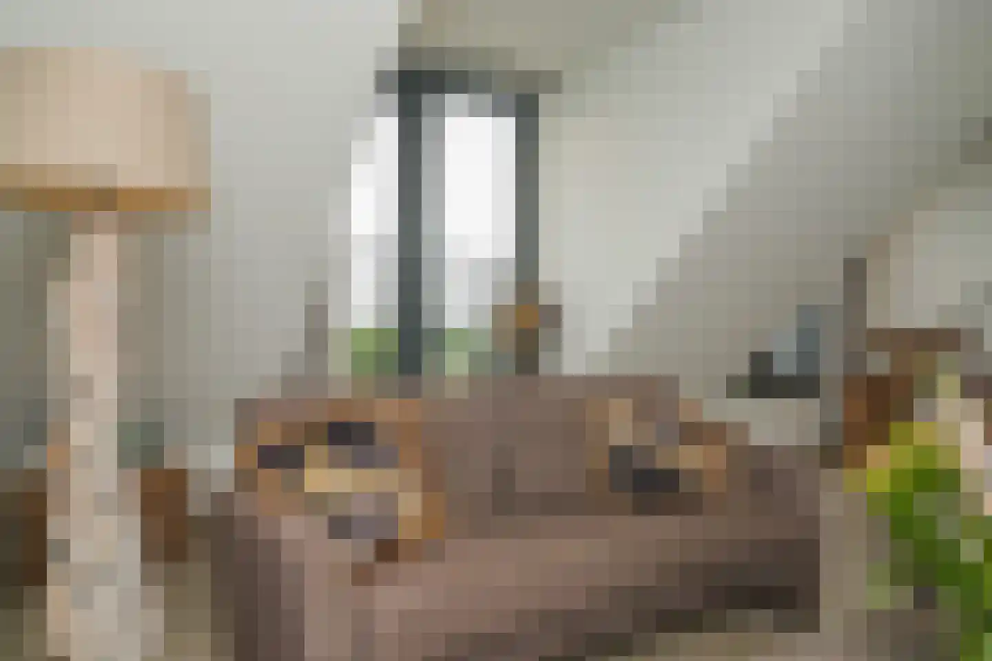 Keizershove 35 Ochten thumbnail 18