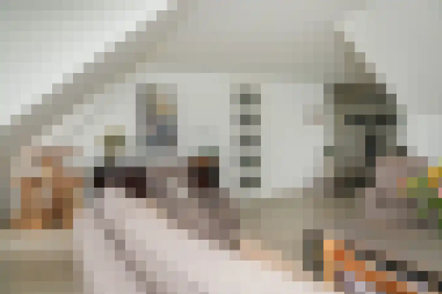 Keizershove 35 Ochten thumbnail 19
