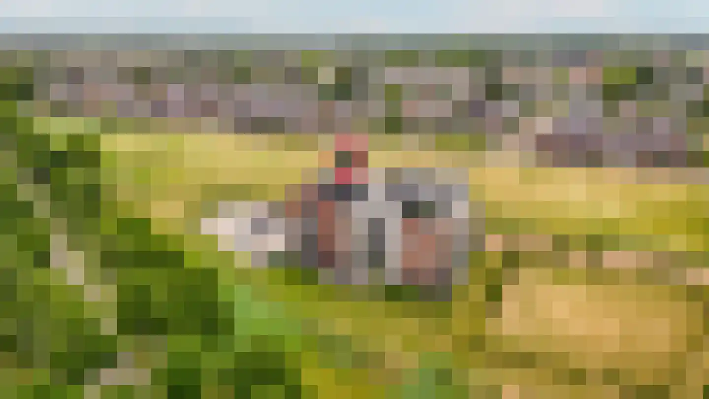 Keizershove 35 Ochten thumbnail 7