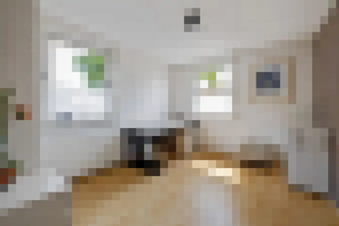 Keizerskamp 2 Mariënheem thumbnail 20