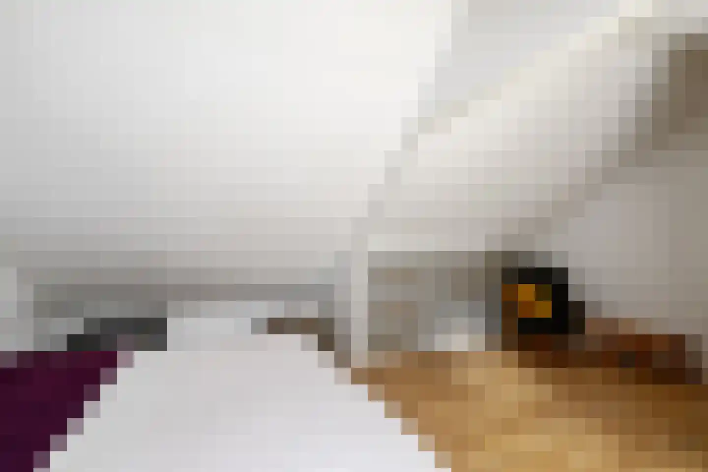 Keizerskamp 2 Mariënheem thumbnail 27