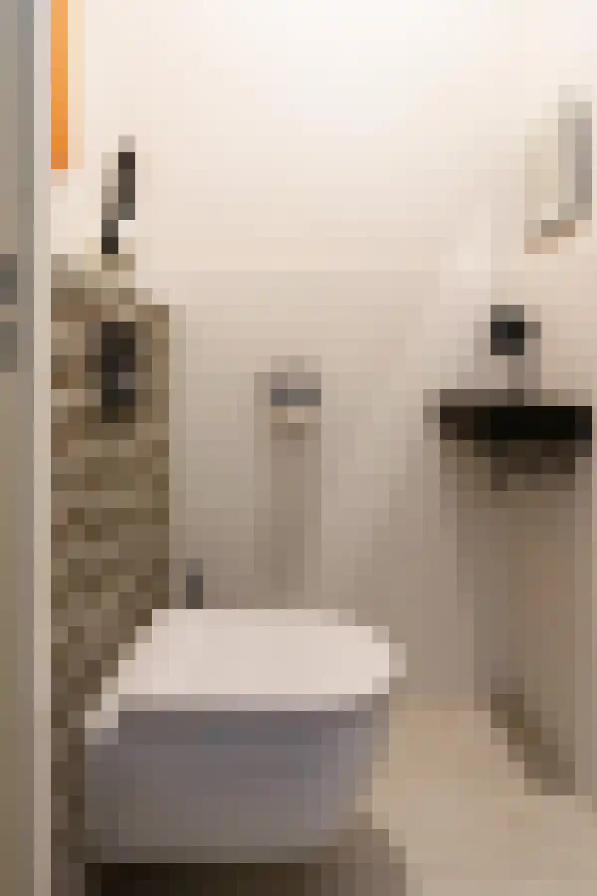 Keizerskroon 1 Papendrecht thumbnail 5