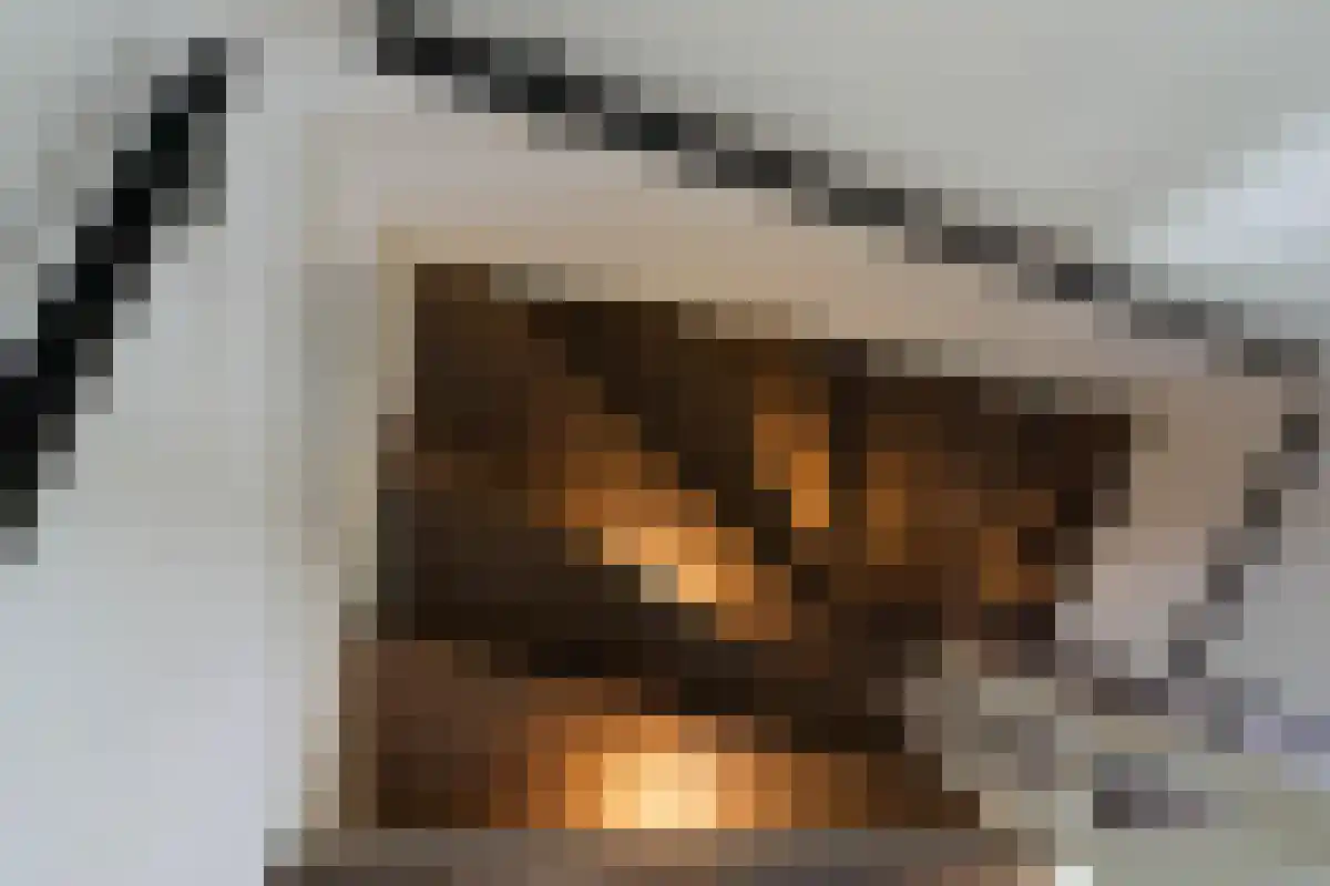 Keizerskroon 1 Papendrecht thumbnail 6