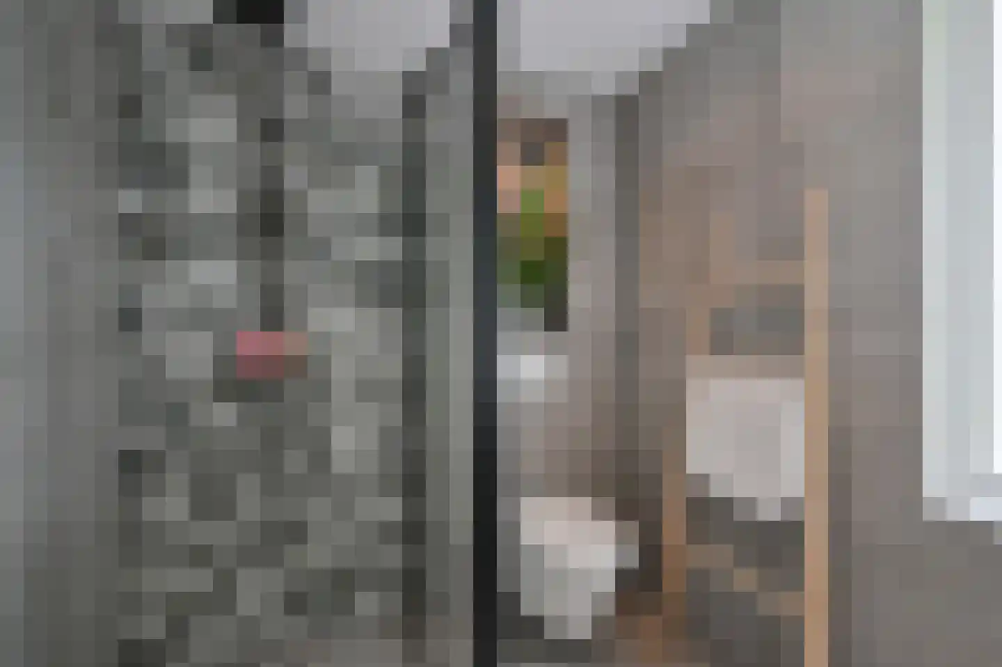 Keizerskroon 13 Andijk thumbnail 21