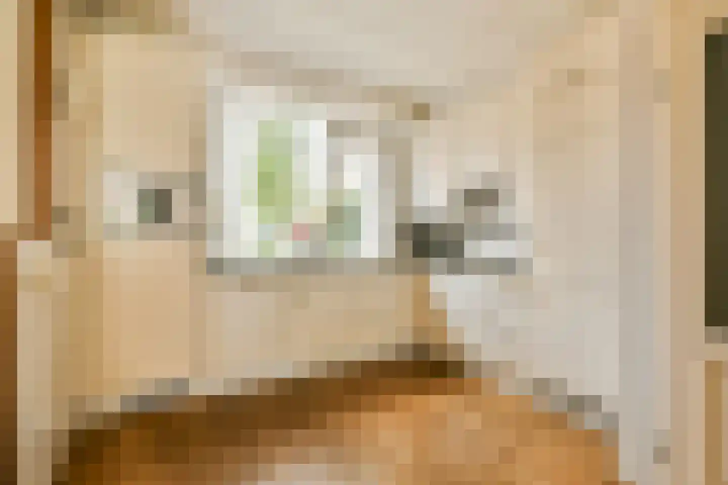 Keizerskroon 15 Beverwijk thumbnail 12
