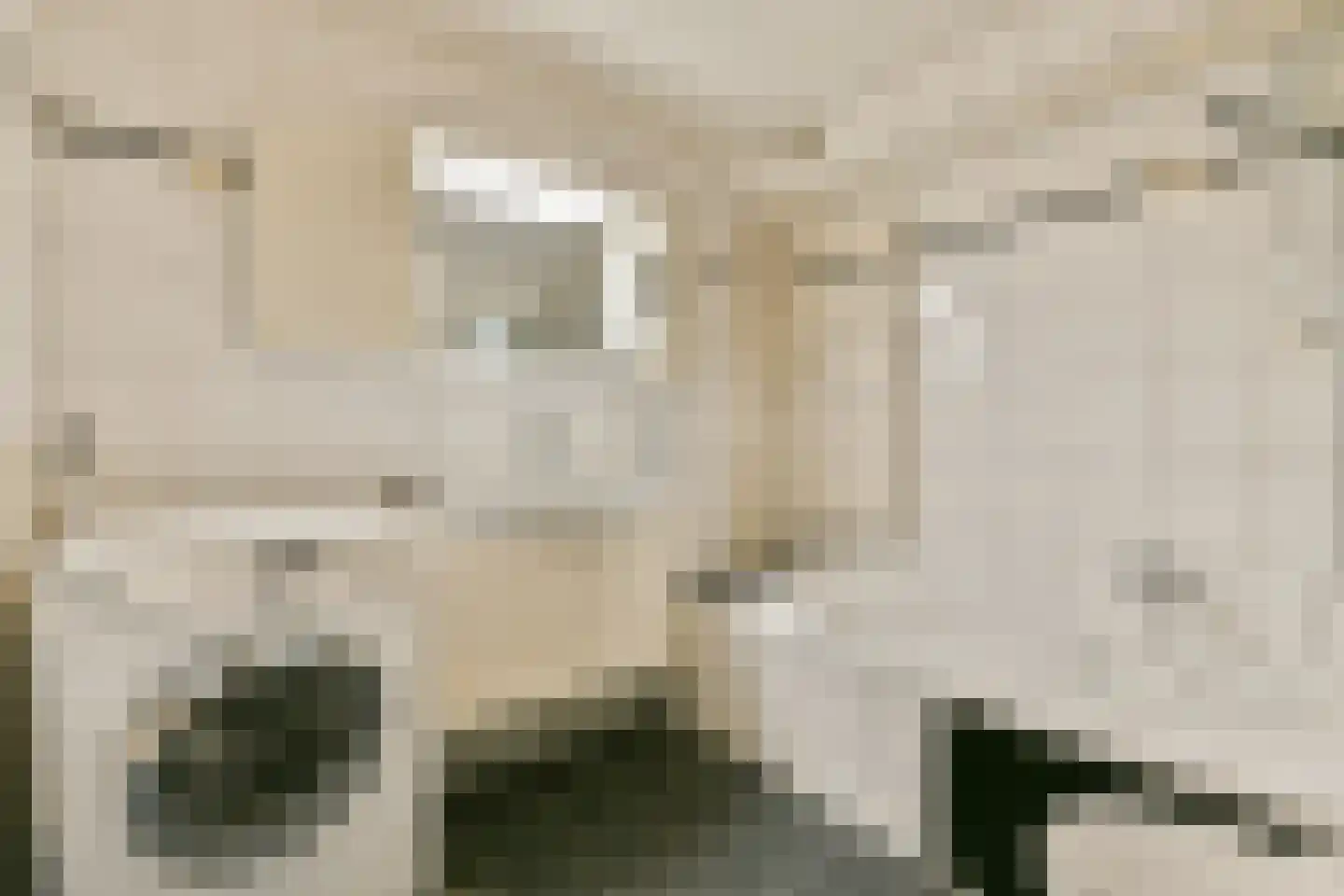 Keizerskroon 15 Beverwijk thumbnail 17