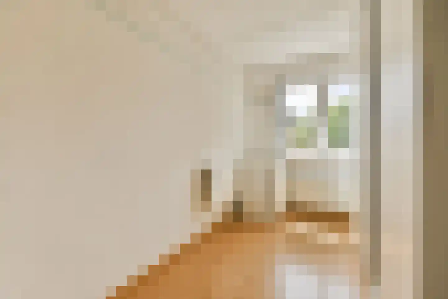 Keizerskroon 15 Beverwijk thumbnail 19