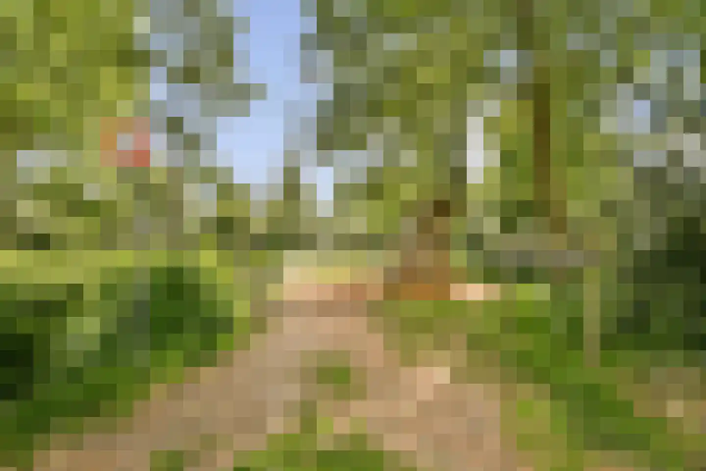 Keizerskroon 15 Beverwijk thumbnail 23