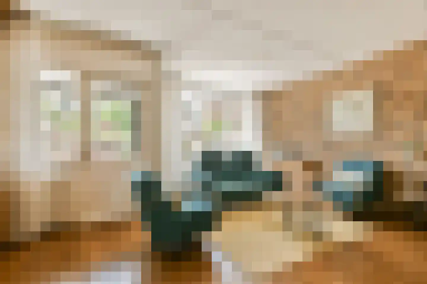 Keizerskroon 15 Beverwijk thumbnail 7