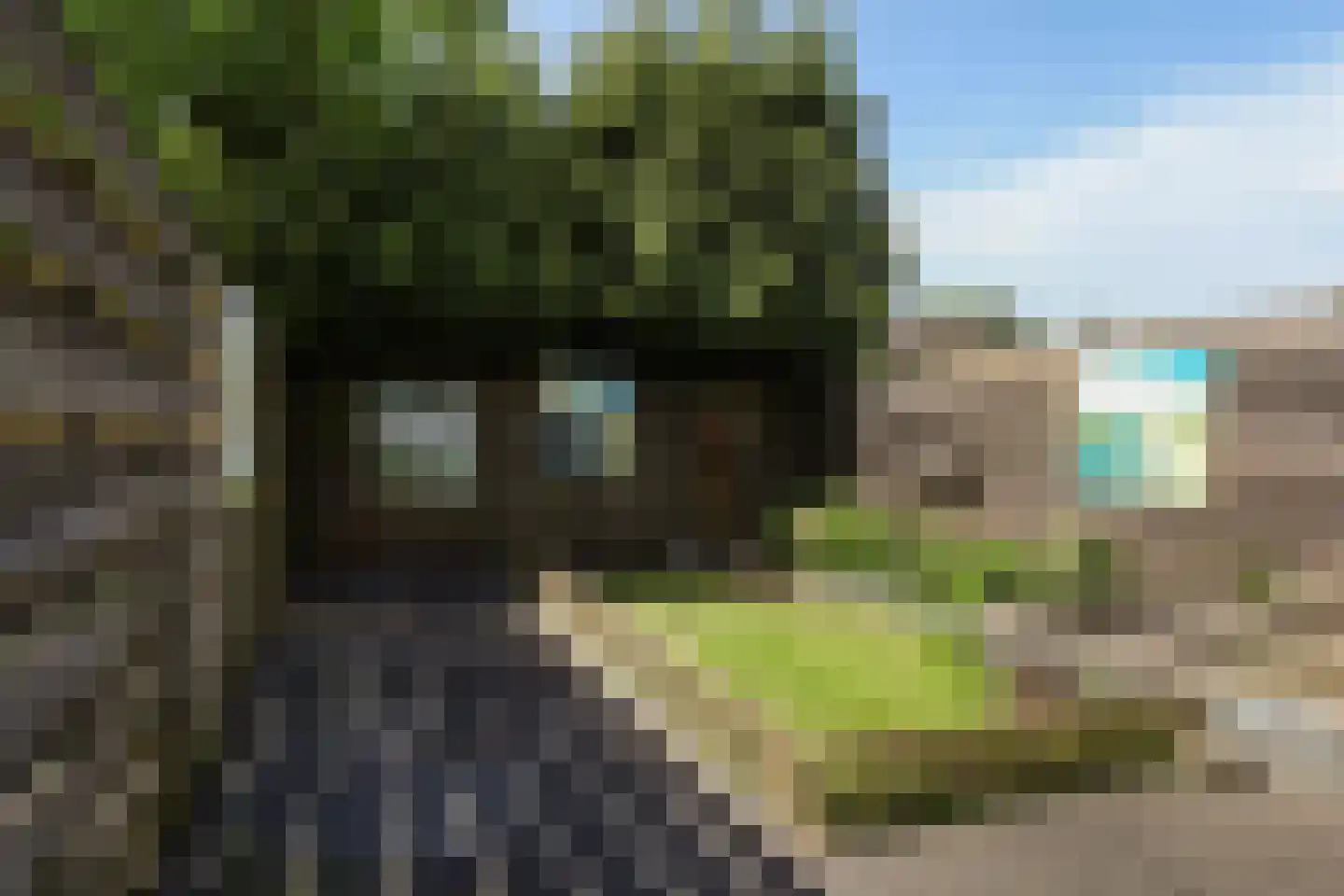 Keizerskroon 17 Leeuwarden thumbnail 20