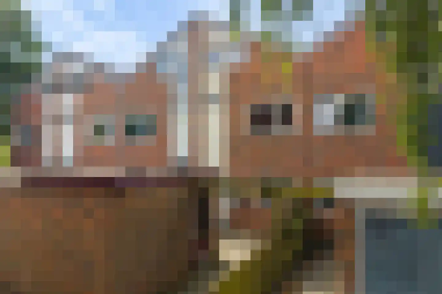 Keizerskroon 17 Leeuwarden thumbnail 6