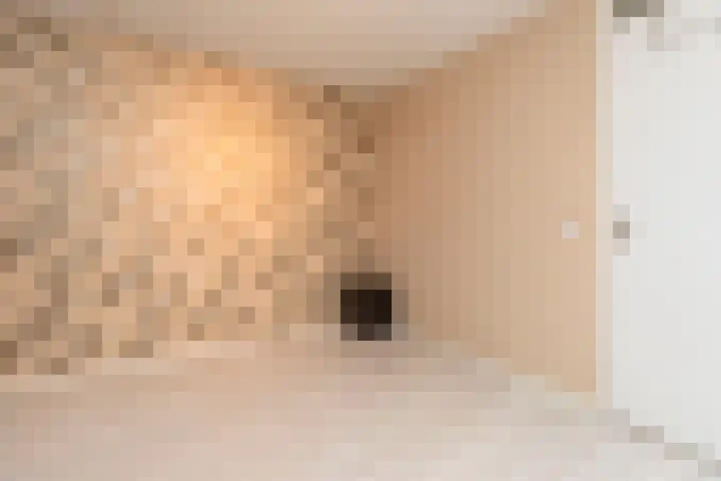 Keizerskroon 18 Papendrecht thumbnail 33