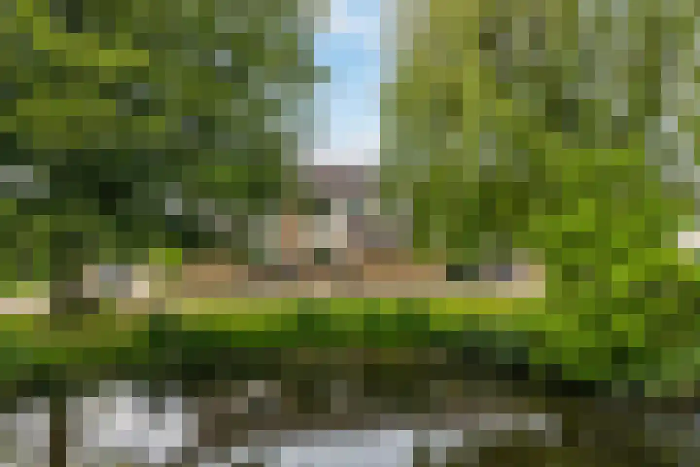 Keizerskroon 185 Leeuwarden thumbnail 46