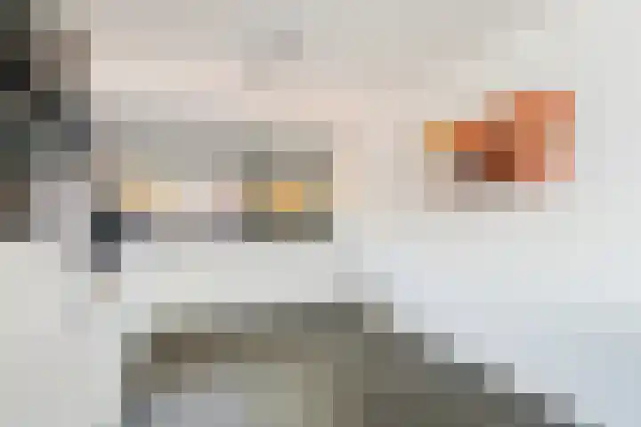 Keizerskroon 19 Papendrecht thumbnail 15