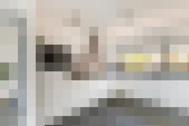 Keizerskroon 19 Papendrecht thumbnail 17