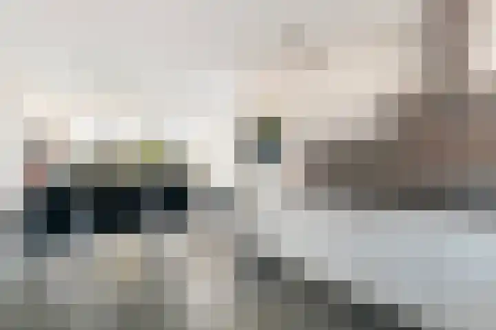Keizerskroon 19 Papendrecht thumbnail 18