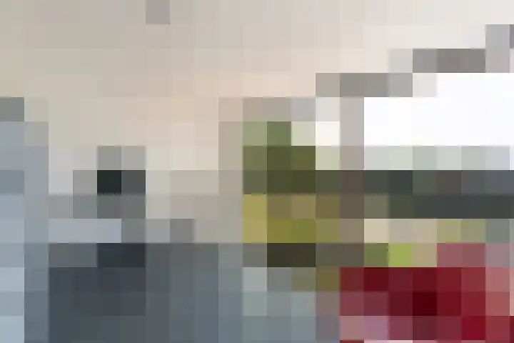 Keizerskroon 19 Papendrecht thumbnail 19