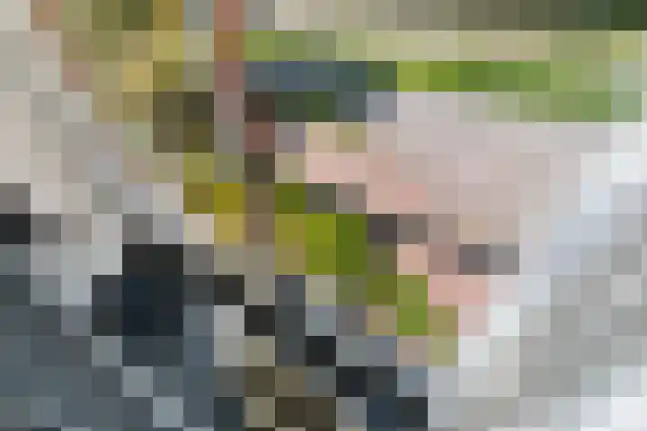 Keizerskroon 19 Papendrecht thumbnail 20