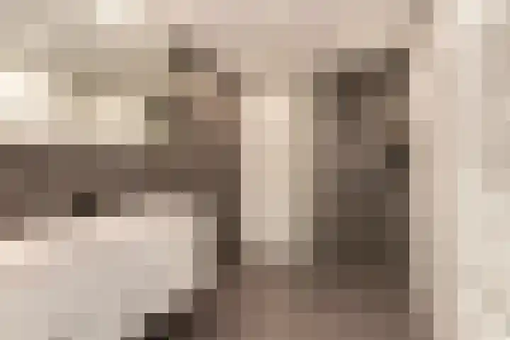 Keizerskroon 19 Papendrecht thumbnail 22