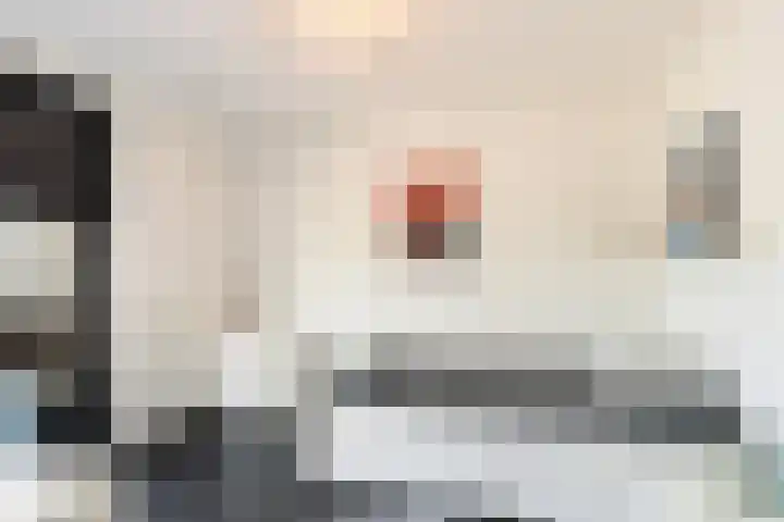 Keizerskroon 19 Papendrecht thumbnail 24