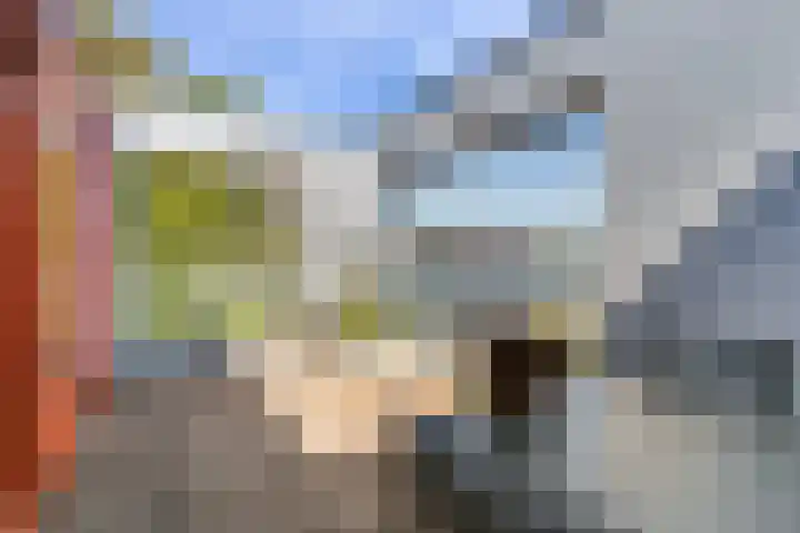 Keizerskroon 19 Papendrecht thumbnail 28