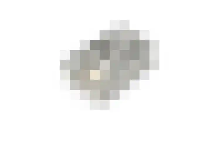 Keizerskroon 19 Papendrecht thumbnail 33