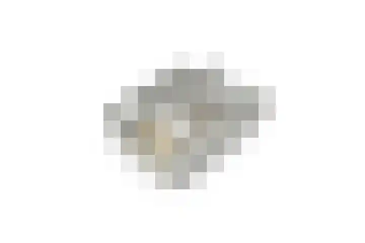 Keizerskroon 19 Papendrecht thumbnail 36