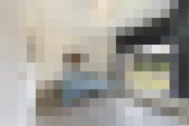 Keizerskroon 19 Papendrecht thumbnail 4