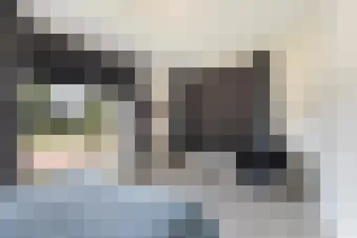 Keizerskroon 19 Papendrecht thumbnail 5