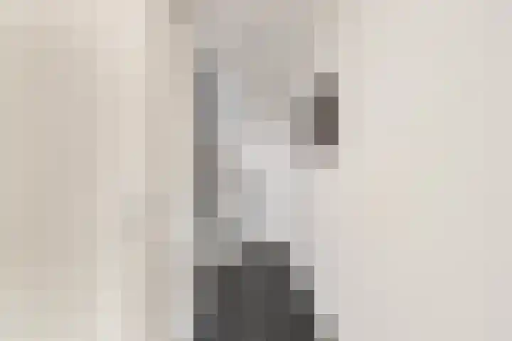 Keizerskroon 19 Papendrecht thumbnail 6