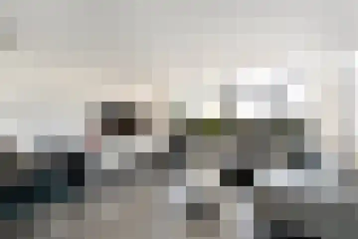 Keizerskroon 19 Papendrecht thumbnail 8
