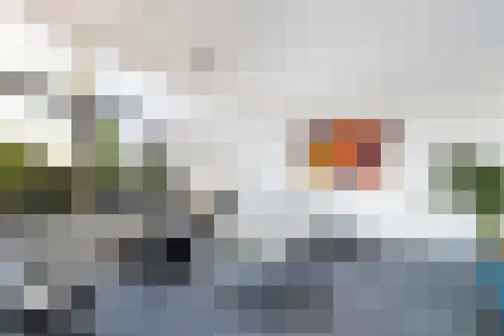 Keizerskroon 19 Papendrecht thumbnail 9