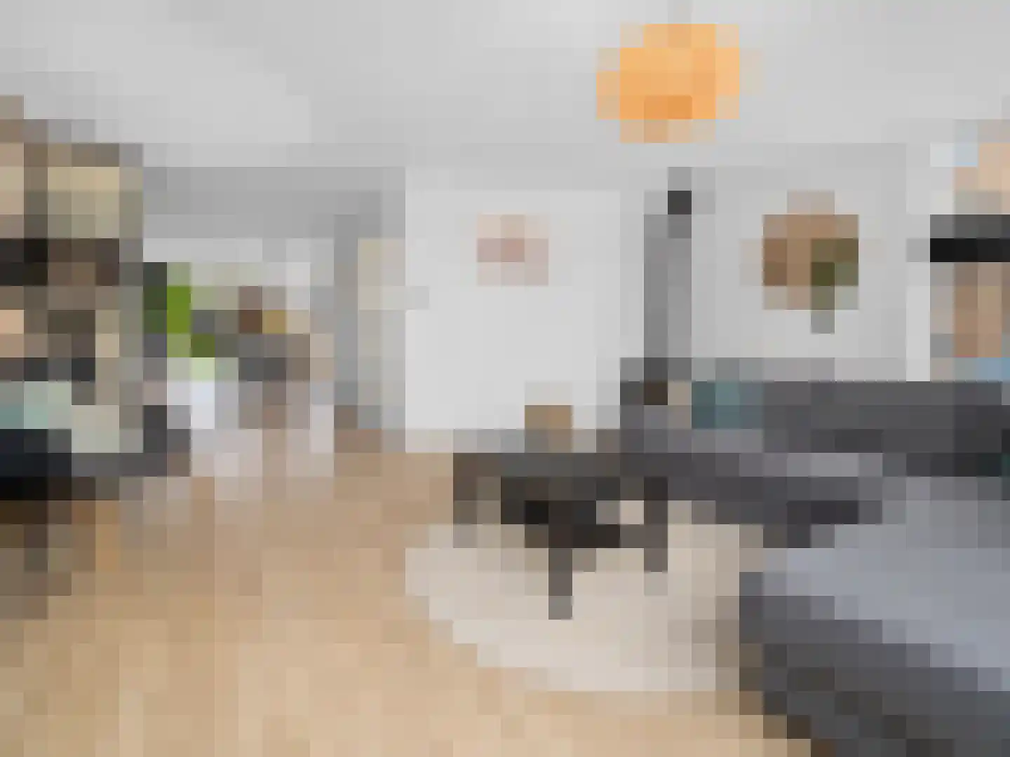 Keizerskroon 20 Limmen thumbnail 10
