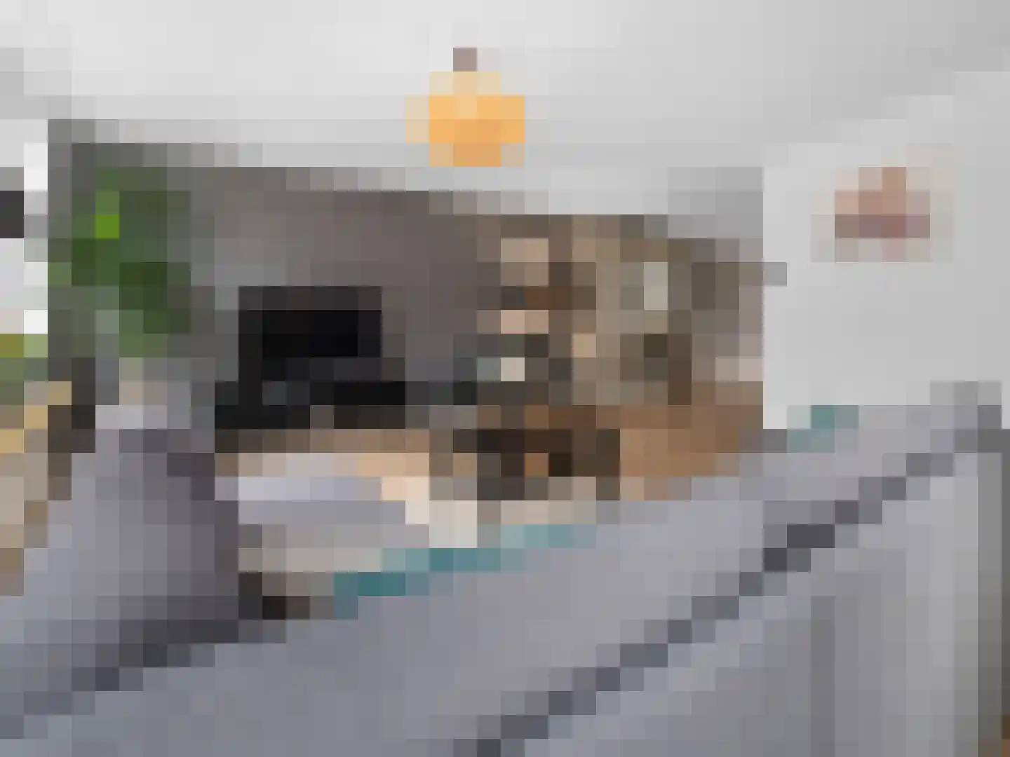 Keizerskroon 20 Limmen thumbnail 12