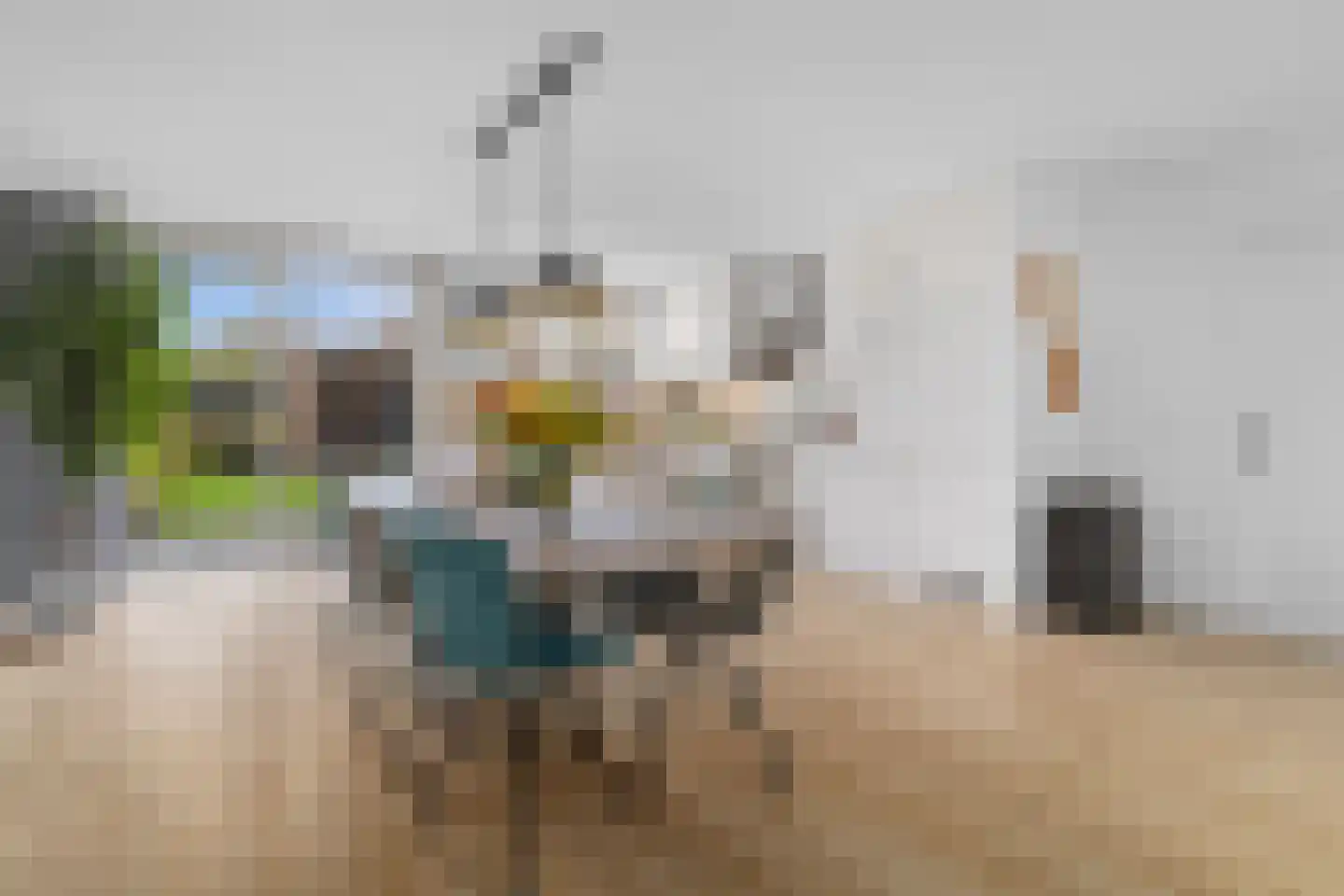 Keizerskroon 20 Limmen thumbnail 17