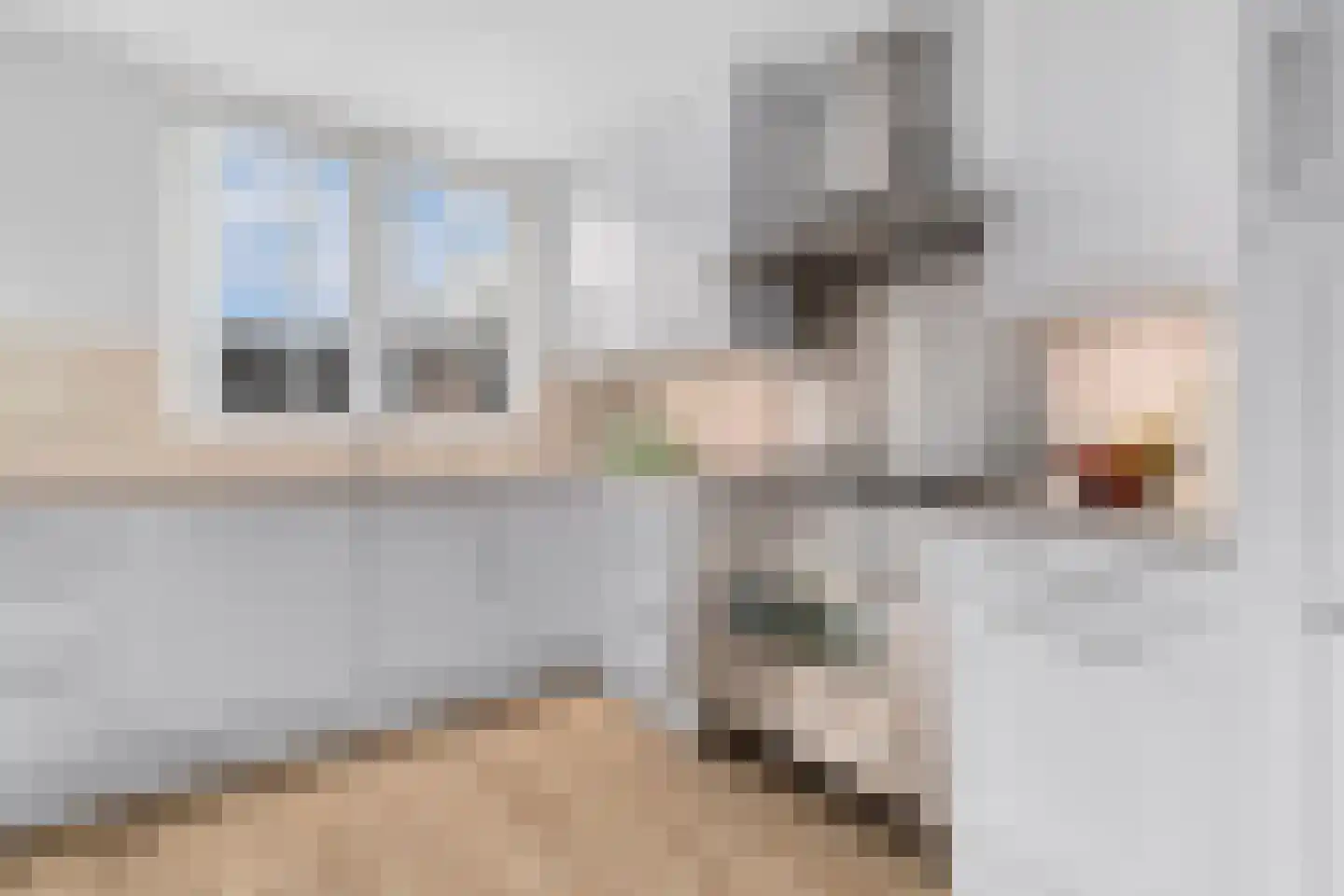 Keizerskroon 20 Limmen thumbnail 19