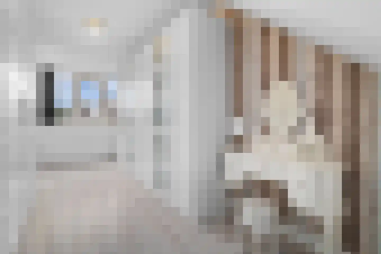 Keizerskroon 20 Limmen thumbnail 27