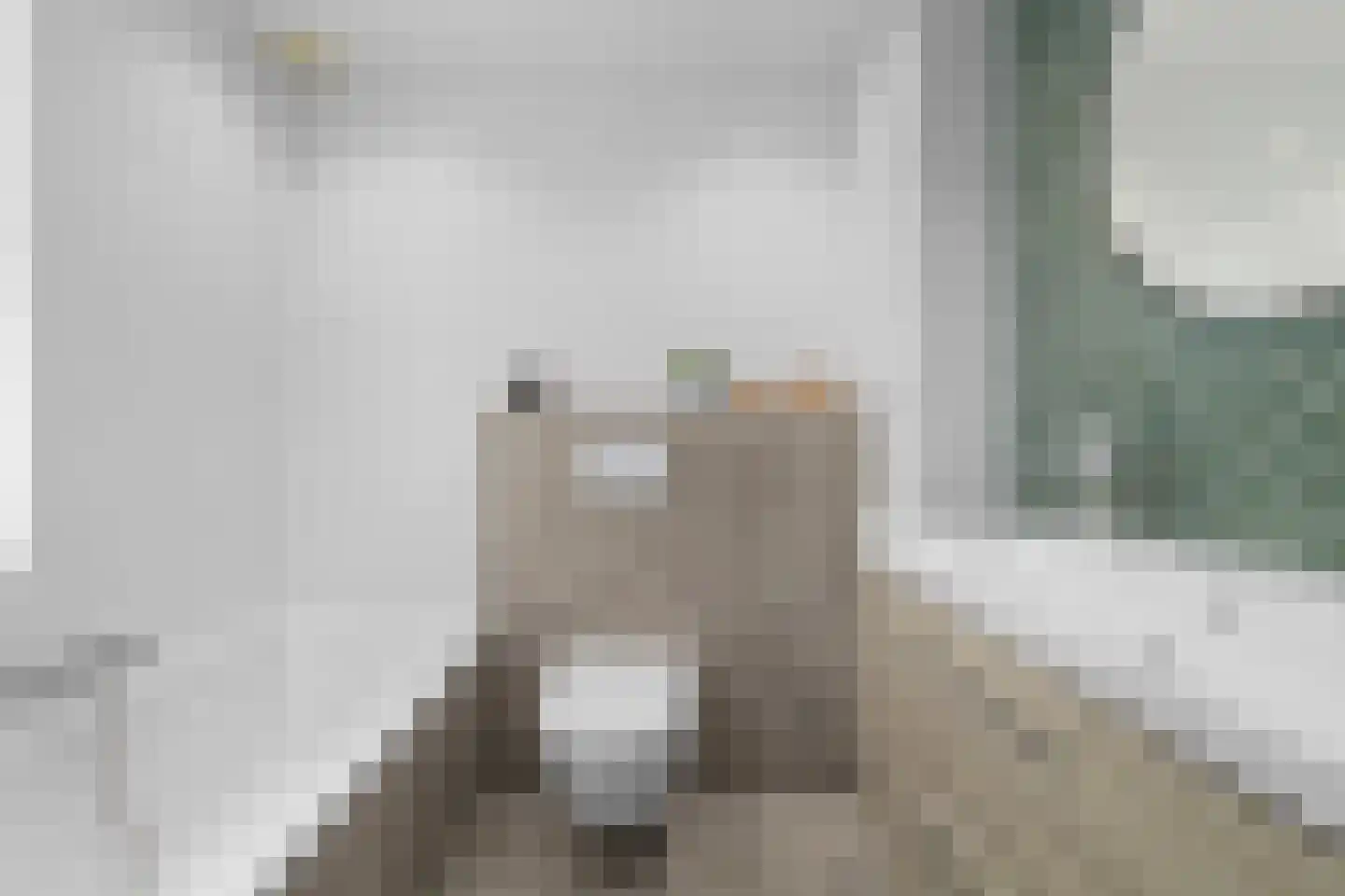 Keizerskroon 20 Limmen thumbnail 31