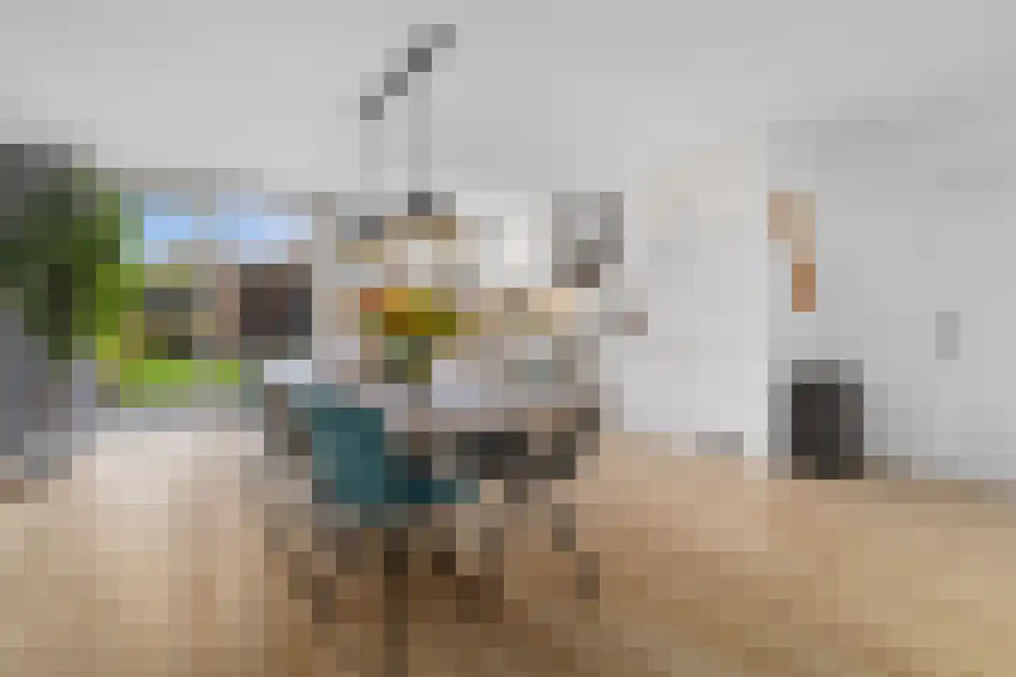 Keizerskroon 20 Limmen thumbnail 4